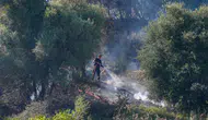 Antalya Aksu'da orman yangını paniği