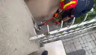 Avcılar'da iki kedinin zorlu kurtarılma operasyonu