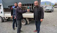 Çameli hayvan pazarında bayram mesaisi başladı