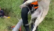 Isparta'da kuyuya düşen canlar itfaiye yardımıyla kurtarıldı