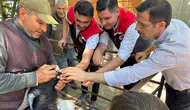 Bozdoğan pazarında kurbanlıklar mercek altında