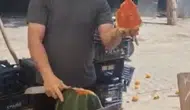 Osmaniye pazarında vekaletli karpuz dönemi