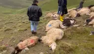 Çaldıran ovasında yıldırım sürüyü vurdu