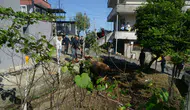 Rize’de kurbanlık boğa elden kaçınca ortalık karıştı