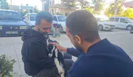 Elazığ’da bir marketin sevimli ziyaretçisi Zeytin herkesin neşe kaynağı oldu