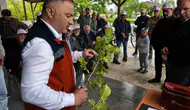 Termeli üreticiler artık kendi ağaçlarını profesyonelce aşılayacak