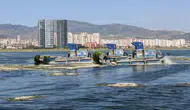 İzmir Körfezi’nde yeşil alarm Deniz marulları temizleniyor