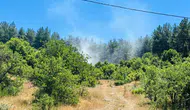 Muğla Menteşe ormanlarında çıkan yangın büyümeden söndürüldü
