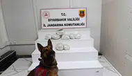 Diyarbakır jandarmasından zehir tacirlerine geniş çaplı darbe