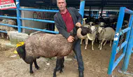 Kurban pazarında maliyet krizi üreticiyi terletiyor