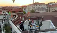 Avcılar'da mahsur kalan yavru martıları itfaiye kurtardı