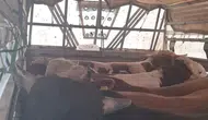 İstanbul yollarında kaçak kurbanlık operasyonu