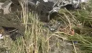 Hatay'da sağanak felaketi Asi Nehri'ni taşırdı