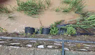 Kastamonu’da dereye karışan kimyasal atık denizi siyaha boyadı