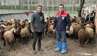 Bayburt Aydıntepe’de tarımsal üretim denetim altında