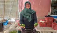 Aydın pazarlarında deli ilek dönemi başladı