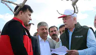 Şanlıurfa'da fıstık bahçelerini vuran fırtına sonrası çiftçi devlet desteği bekliyor