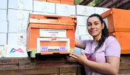 Mersinli arıcılar için Altın Kovan dönemi