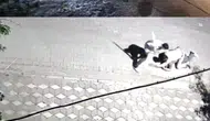 Manisa’da sokak ortasında bıçaklı hesaplaşma