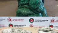 Kapıkule'de kaçak midye operasyonu