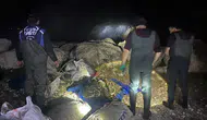 Van Gölü'nde üreme dönemindeki inci kefallerine kaçak avcı darbesi