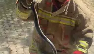 Hatay’da evlere giren davetsiz misafirleri itfaiye uzaklaştırdı