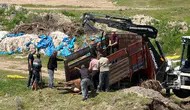 Divriği'de kaçan kurbanlık tosunu yakalamak dört saat sürdü