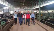 Hatay’da kurbanlık pazarları bayram öncesi mercek altında