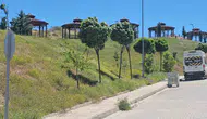 Elazığ’da fırtına hayatı felç etti