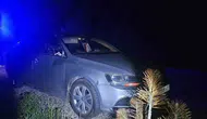Bilecik yolunda otomobile geyik çarptı İki kişi hastaneye kaldırıldı
