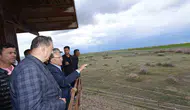 Sultan Sazlığı eski günlerine döndü