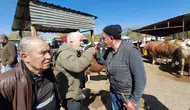 Mudurnu pazarında 340 bin liralık kıran kırana kurban pazarlığı