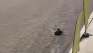 Ankara'da ani yağış hayatı felç etti