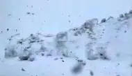 Hakkari sınırında mayıs ayında kar sürprizi