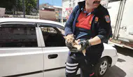 Dinar’da motoruna kedi kaçan sürücüye ikinci şok