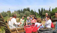 İzmirde mutfak atıkları artık doğal gübreye dönüşüyor