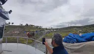 Yozgat Süreyya Bey Barajı’nda kaptan koltuğuna tavuk geçti