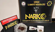 Şırnak’ta uyuşturucu ve kaçak ürün baskınlarına 5 tutuklama