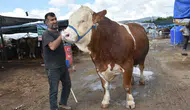 İzmir pazarında şampiyon boğa 480 bin liraya alıcı buldu