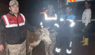 Siverek’te hırsızlara 40 saatlik kamera takibi