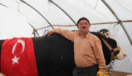 Kayseri pazarının devi Paşa 420 bin liraya alıcısını buldu