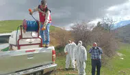 Gümüşhane’de çekirge istilası tarım arazilerini tehdit ediyor