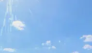 Avcılar sahilinde zabıta müdahalesi kanlı bitti