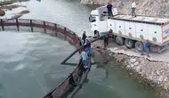 Türk somunu sezonu Adıyaman Çat Barajı’nda start aldı
