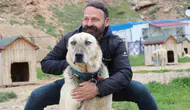 Sivasın dengesiz havası Kangal köpeklerinin dengesini bozdu