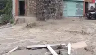 Ordu'da sağanak yağış evi şu kanalı gibi kullandı