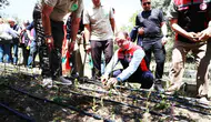 Muğla salep üretiminde Türkiye ikincisi oldu