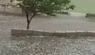 Şanlıurfa Siverek’te dolu yağışı ekili alanları vurdu