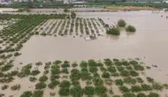 Hatay'da sel felaketi bir can aldı
