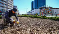 Antalya’da çim devri bitiyor kurakçıl bahçeler geliyor